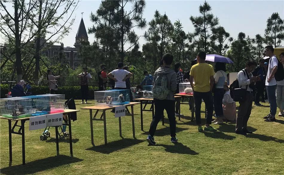 汉口里有什么活动吗,汉口白天儿童旅游攻略