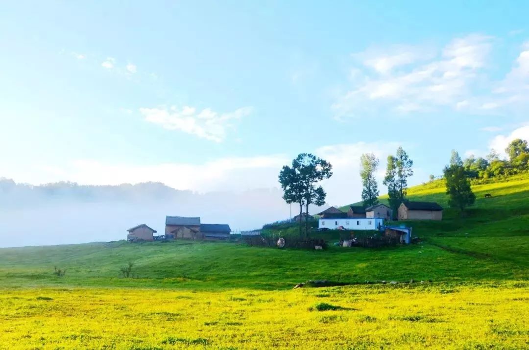 西安旅游景区直通车推出春节优惠,西安免费景点直通车