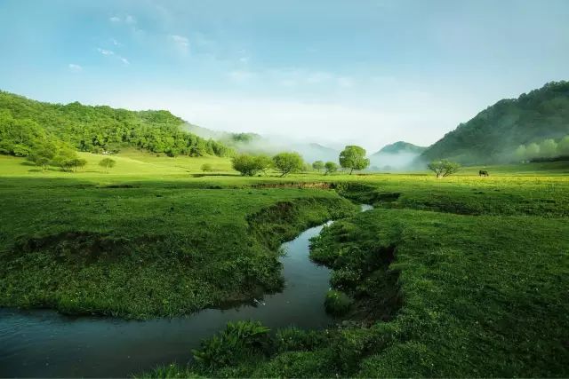 西安旅游景区直通车推出春节优惠,西安免费景点直通车