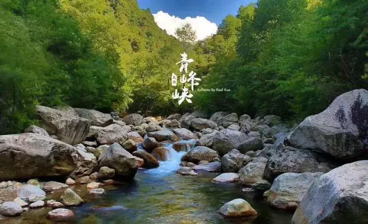 西安旅游景区直通车推出春节优惠,西安免费景点直通车