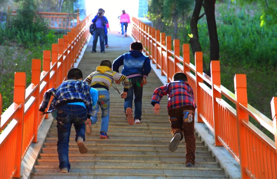 西安旅游景区直通车推出春节优惠,西安免费景点直通车