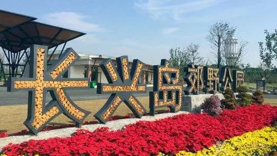 上海五一假期去哪玩最合适,五一假期上海有什么好玩的地方