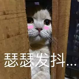 牙齿不好用什么牌子牙膏最好,牙齿超级不好用什么牙膏
