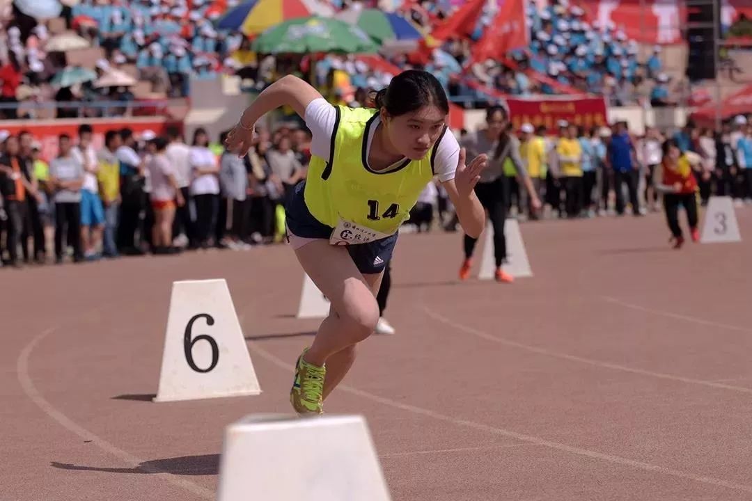 运动会秩序册,四川省第十三届田径运动会秩序册