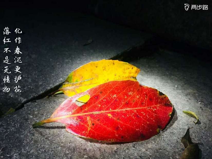 3.16-5.30关于夜徒的那些事