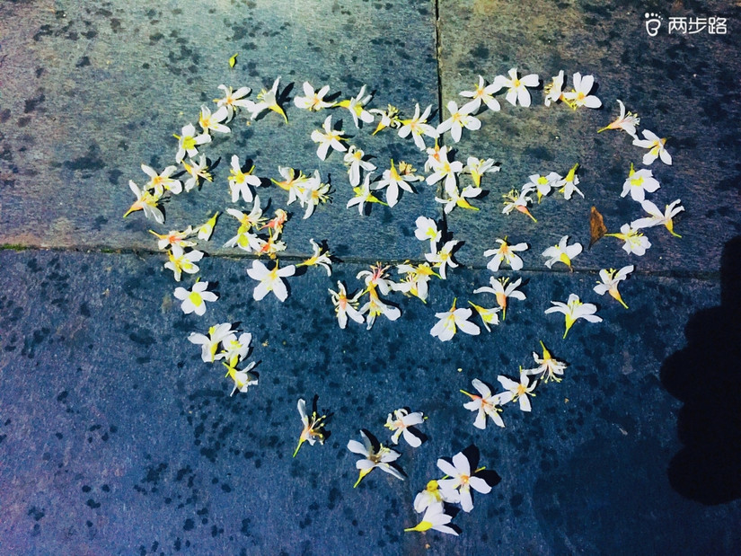 3.16-5.30关于夜徒的那些事