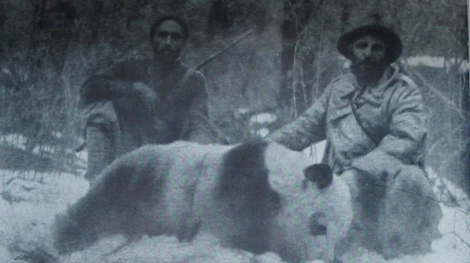 熊猫萌,熊猫萌啦