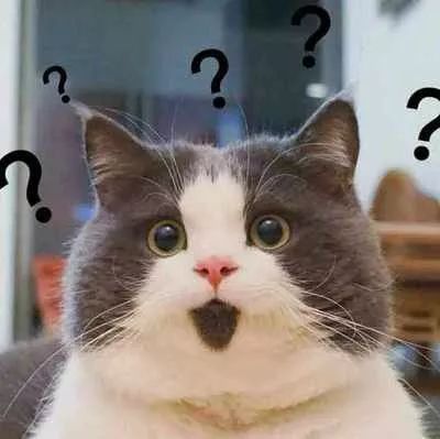 今朝上海|上海97岁“麻将王”，忘了全世界，都忘不了......麻将！