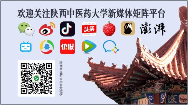 献礼老师歌曲,献礼老师的台词