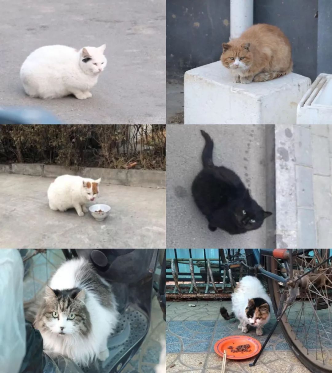 月末还剩十块钱？亲亲，小薇有份二外省钱攻略，请查收！