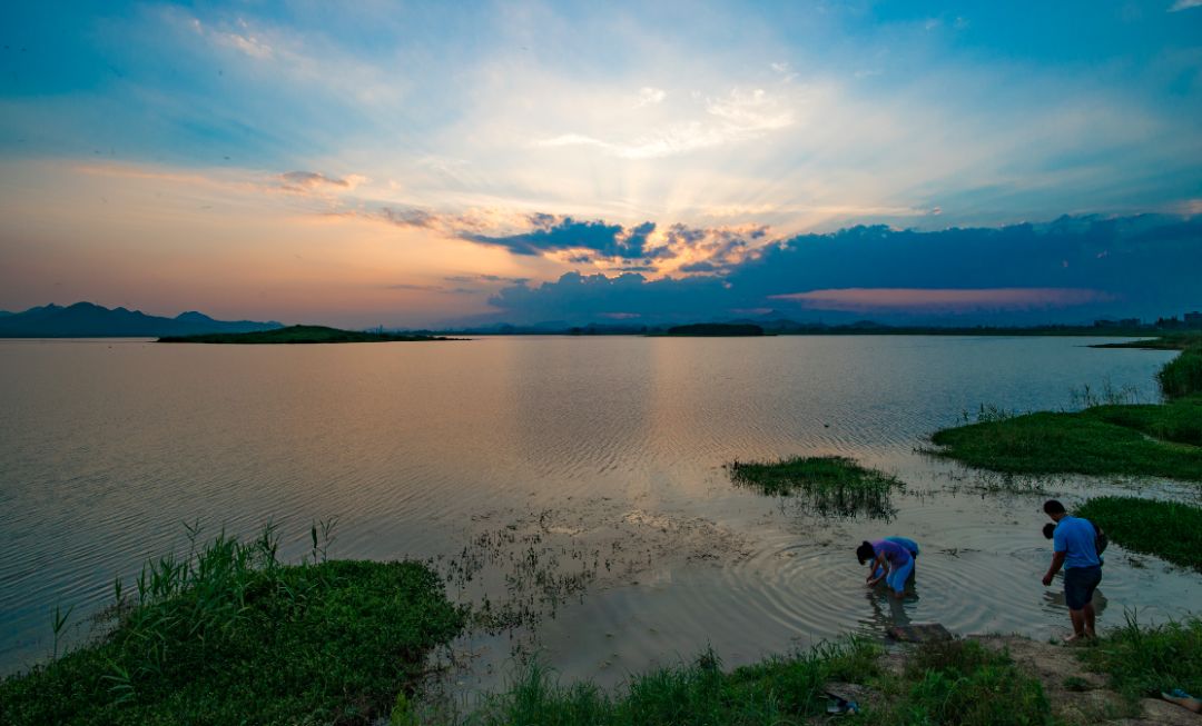 如果身边发现这种情况，赶紧拨打这两个“神奇”的号码