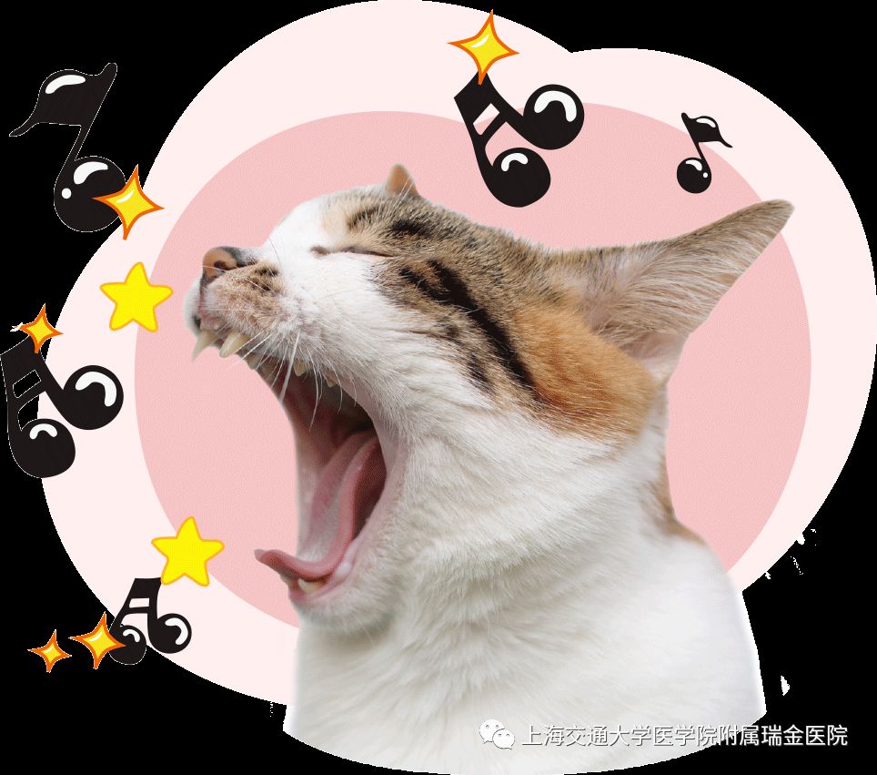 女生沙哑烟嗓怎么治疗,声音沙哑是不是适合烟嗓