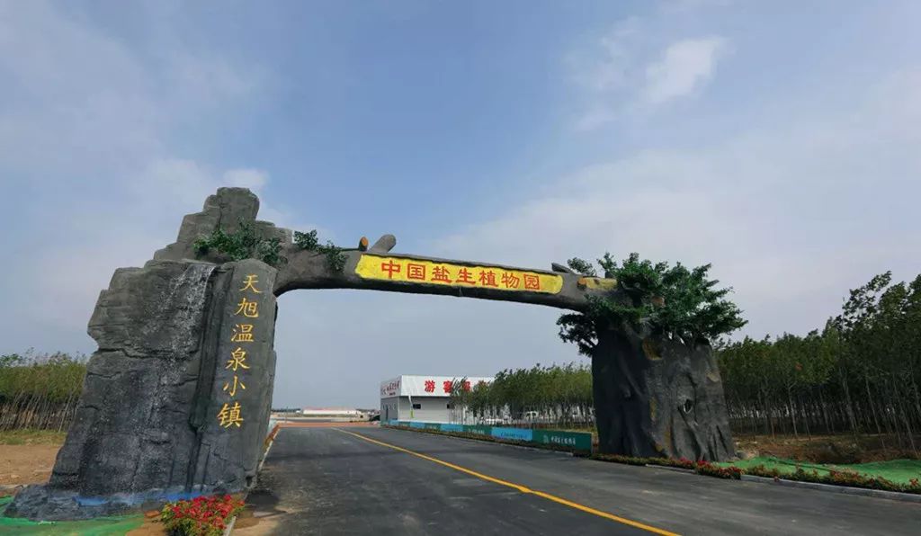 美景美食赏心悦目,美景美食美好心情