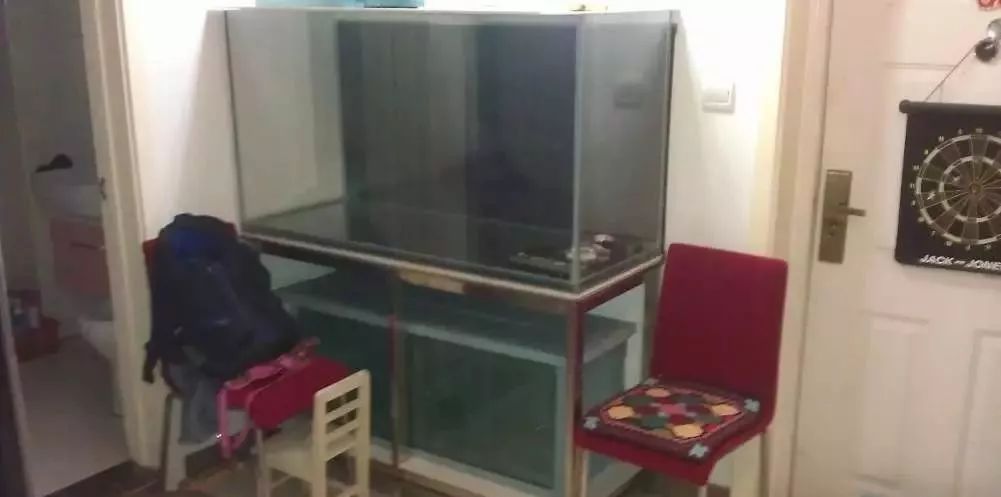 3000左右diy,diy3000元主机