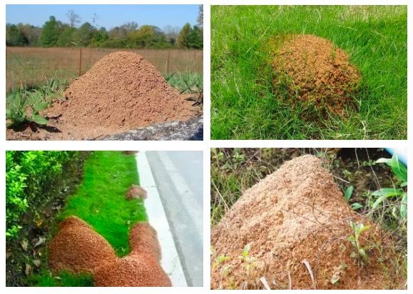 深圳一岁宝宝免费玩的地方,深圳1岁宝宝游玩的地方