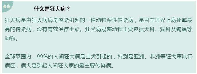 舟山狗狗可以打免费的狂犬疫苗吗,春深日暖全文