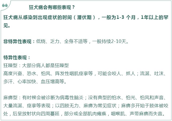 舟山狗狗可以打免费的狂犬疫苗吗,春深日暖全文