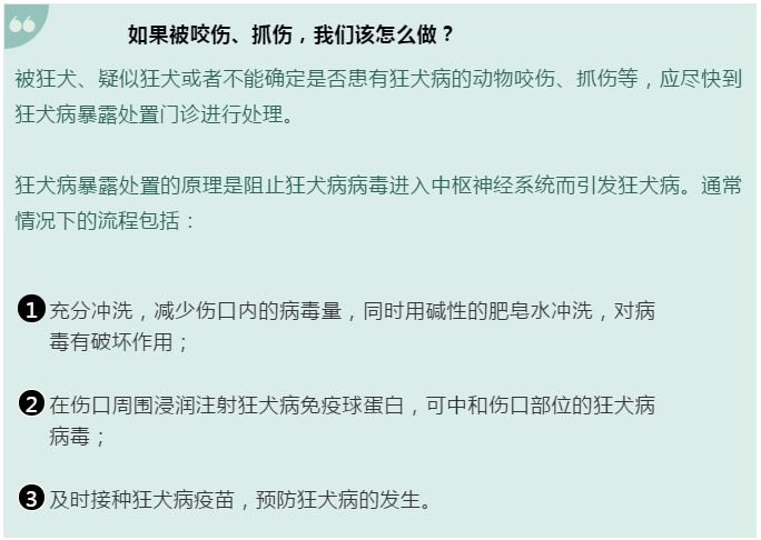 舟山狗狗可以打免费的狂犬疫苗吗,春深日暖全文