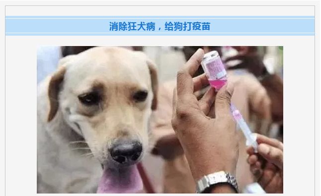 舟山狗狗可以打免费的狂犬疫苗吗,春深日暖全文