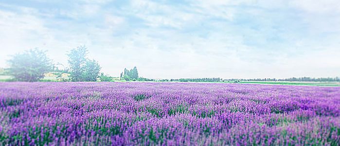 秋冬泡脚加点它,天冷了用这种方法泡脚更有益健康