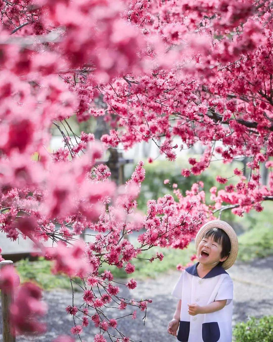 日本爸爸把男孩子拍出宫崎骏 (日本老爸把女儿拍到宫崎骏)