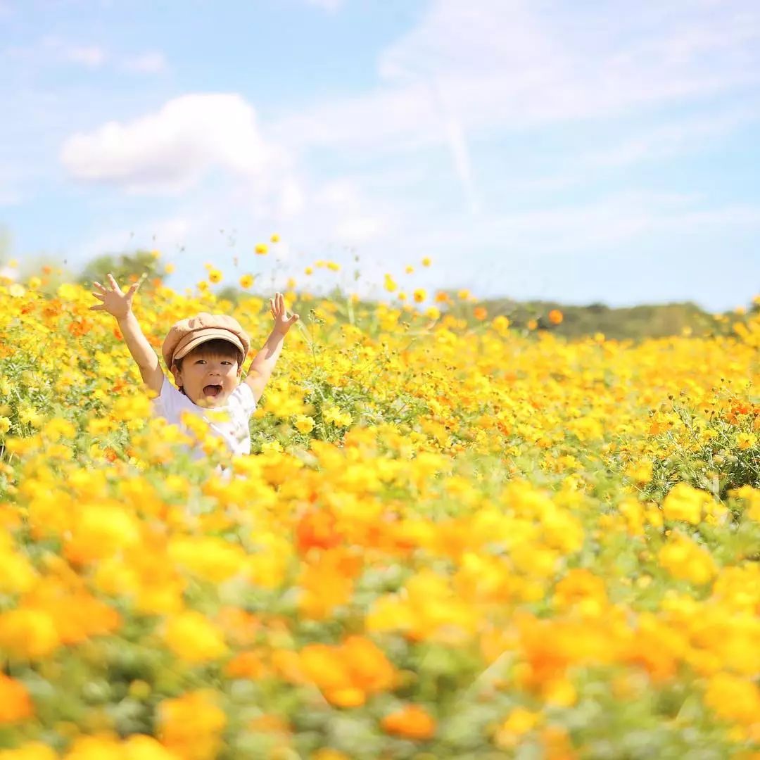 日本爸爸把男孩子拍出宫崎骏 (日本老爸把女儿拍到宫崎骏)