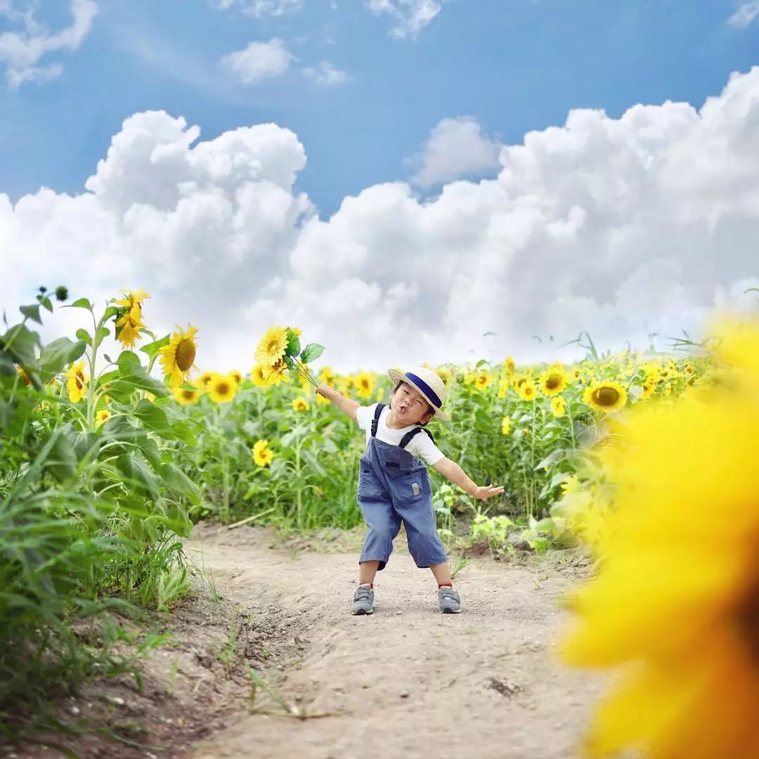 日本爸爸把男孩子拍出宫崎骏 (日本老爸把女儿拍到宫崎骏)