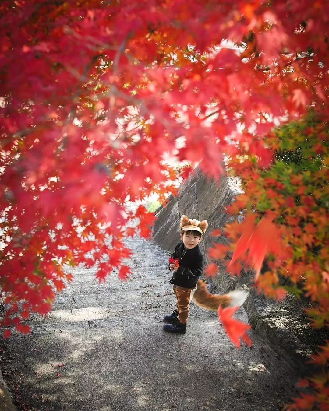 日本爸爸把男孩子拍出宫崎骏 (日本老爸把女儿拍到宫崎骏)