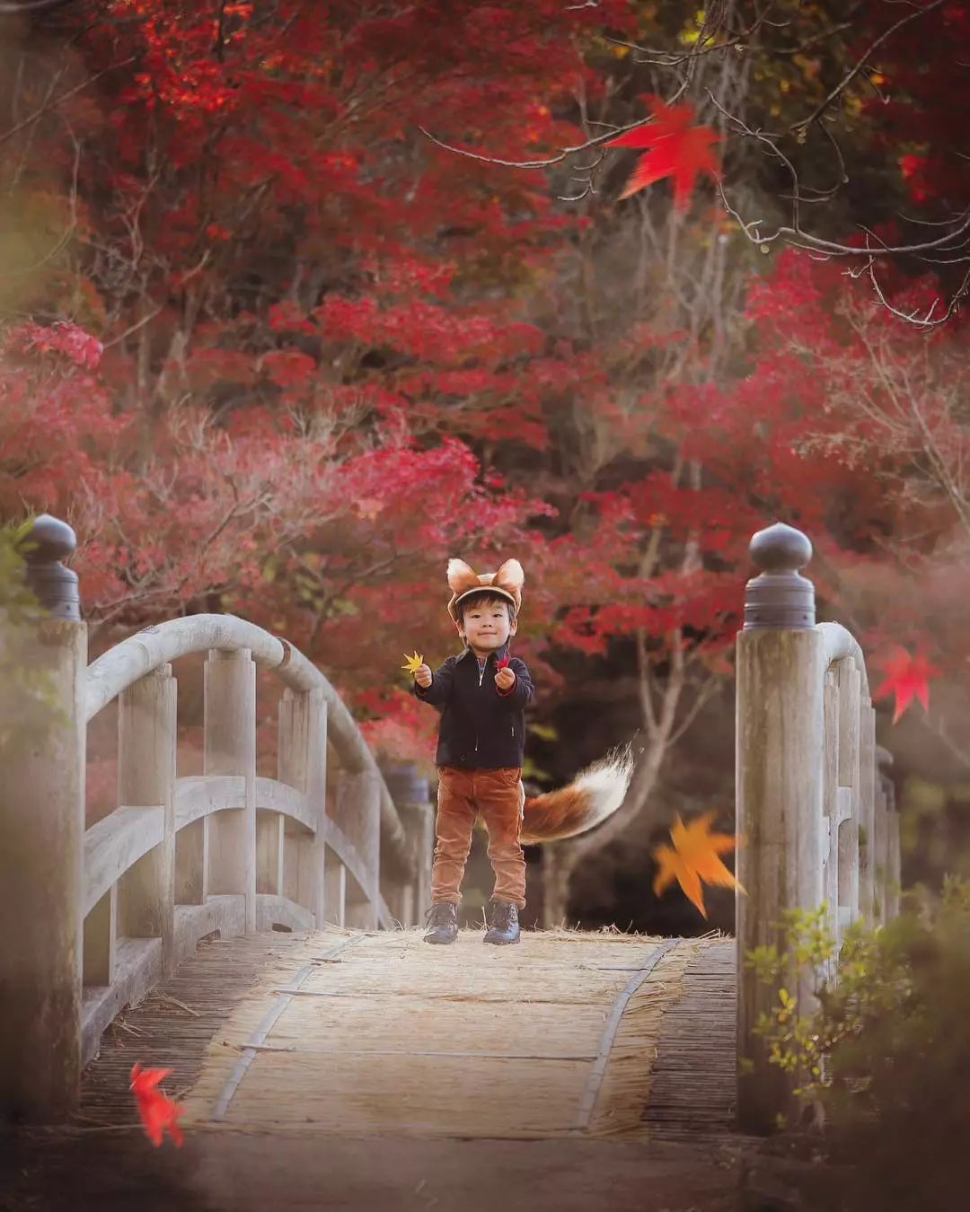 日本爸爸把男孩子拍出宫崎骏 (日本老爸把女儿拍到宫崎骏)