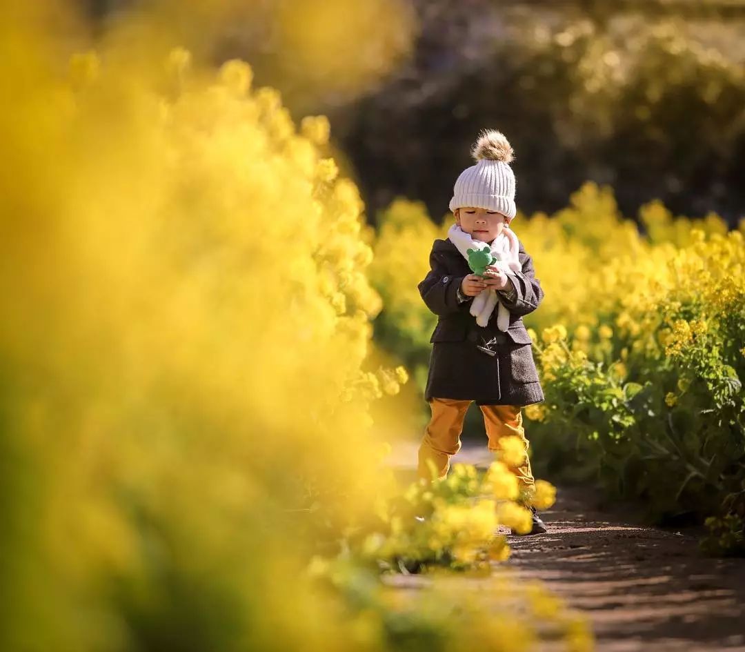 日本爸爸把男孩子拍出宫崎骏 (日本老爸把女儿拍到宫崎骏)