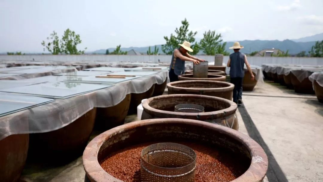 向劳动模范们致敬,向全国所有的劳动模范致敬