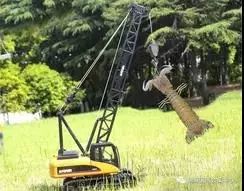 美景美食赏心悦目,美景美食美好心情