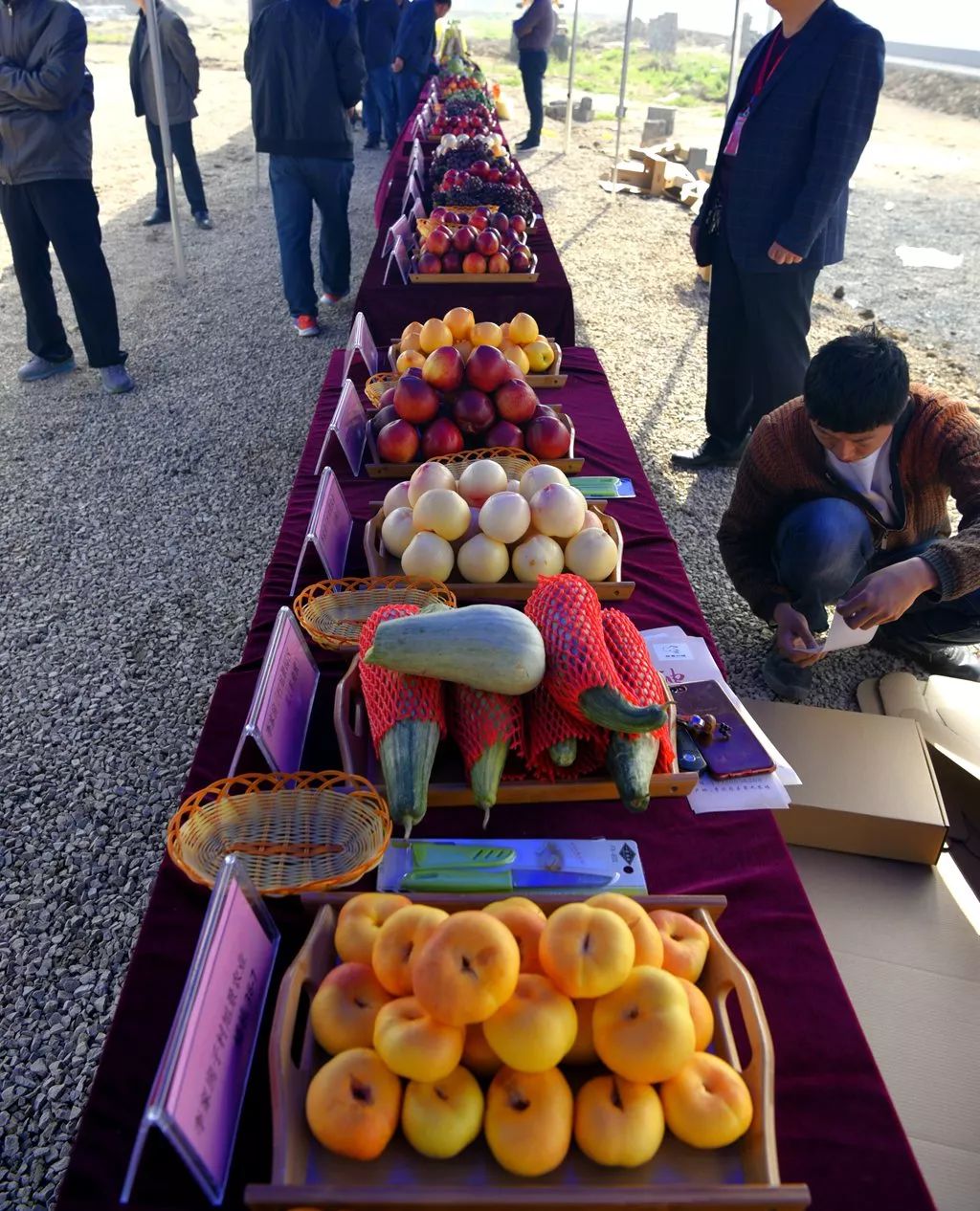 美景美食赏心悦目,美景美食美好心情