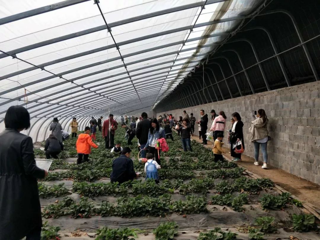 美景美食赏心悦目,美景美食美好心情