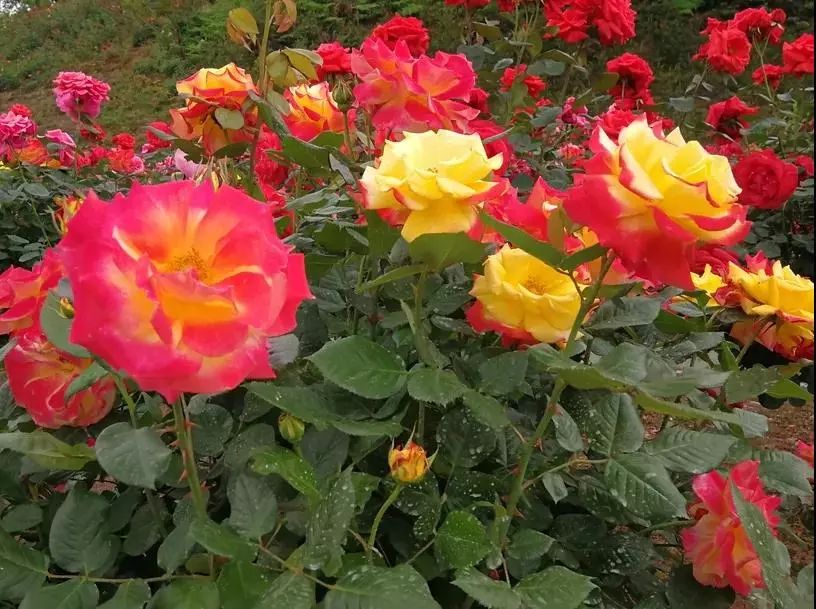 湘潭五一2-3天短途旅游,夏季湘潭周边游