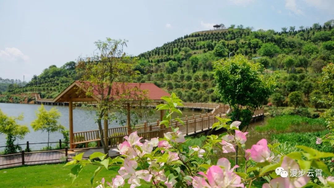 云霄春节旅游攻略,云霄县国庆旅游攻略