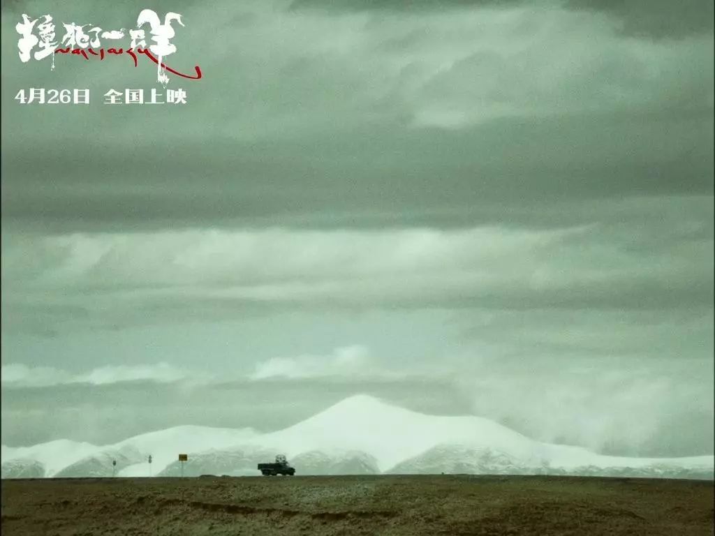 撞死了一只羊要表达的主题,撞死了一只羊的意义