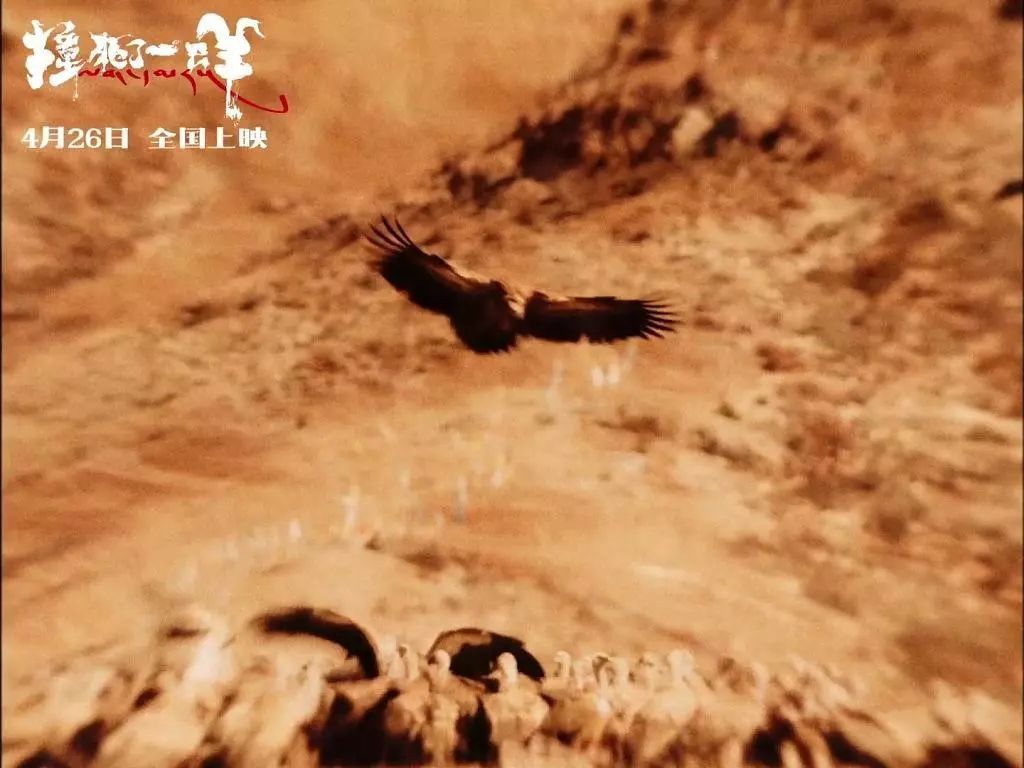 撞死了一只羊要表达的主题,撞死了一只羊的意义