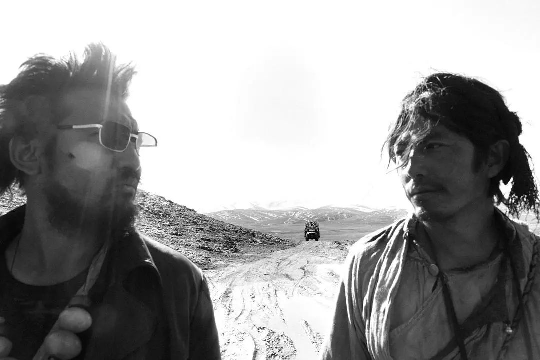 撞死了一只羊要表达的主题,撞死了一只羊的意义