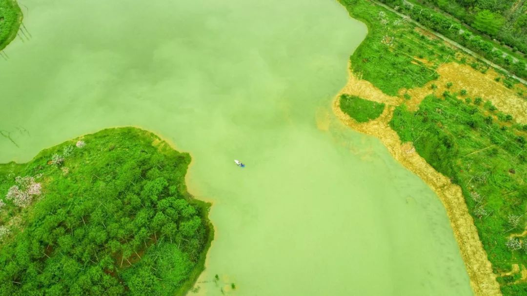壕送400张票！皮艇、音乐美食...三水超好玩！