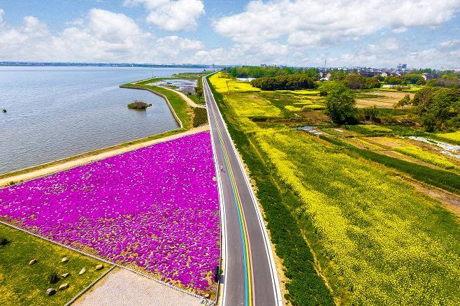 无锡最值得打卡的网红街,无锡梁溪区网红免费打卡地