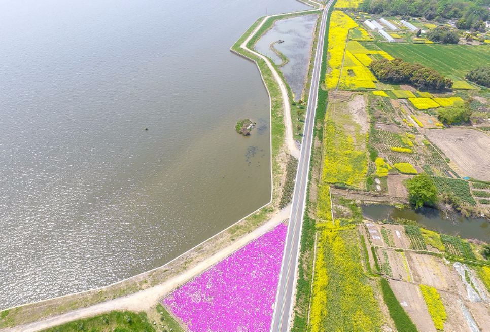 无锡最值得打卡的网红街,无锡梁溪区网红免费打卡地