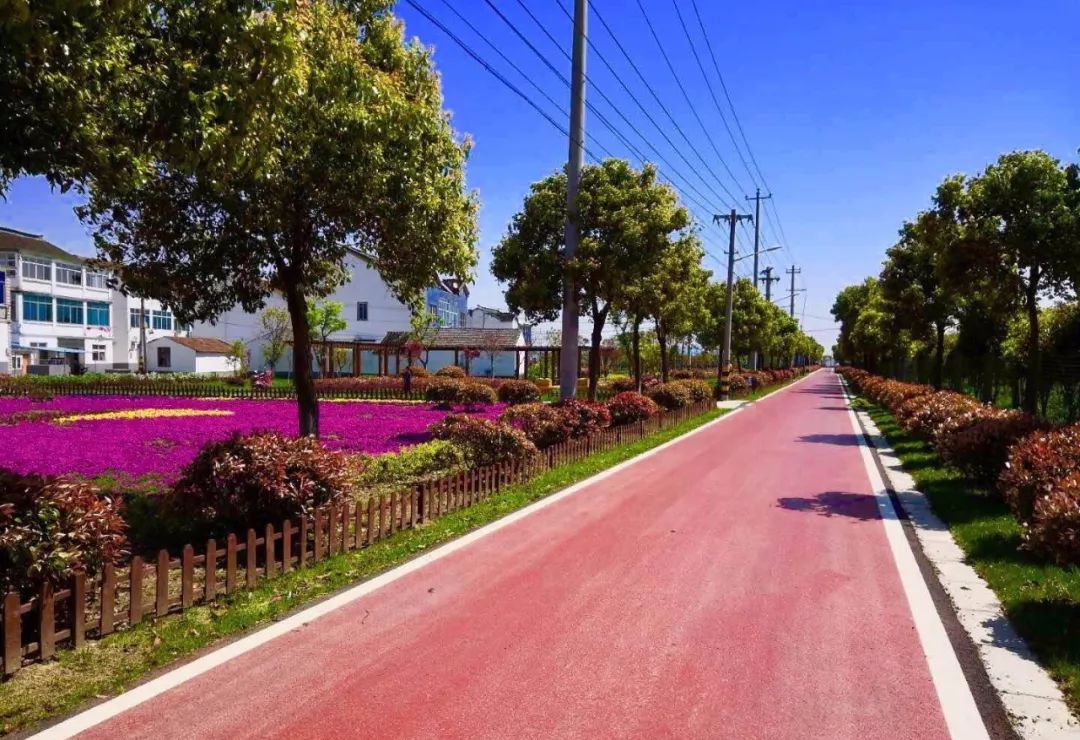 无锡最值得打卡的网红街,无锡梁溪区网红免费打卡地