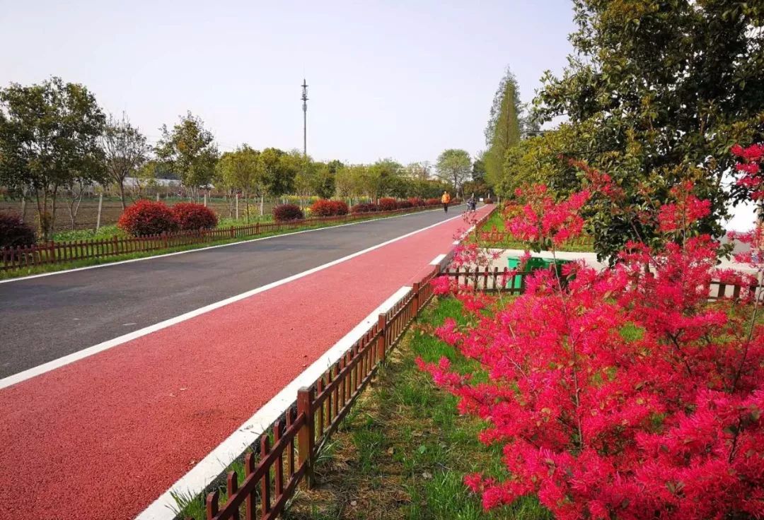 无锡最值得打卡的网红街,无锡梁溪区网红免费打卡地