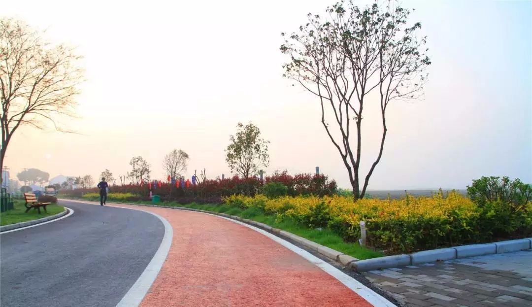 无锡最值得打卡的网红街,无锡梁溪区网红免费打卡地