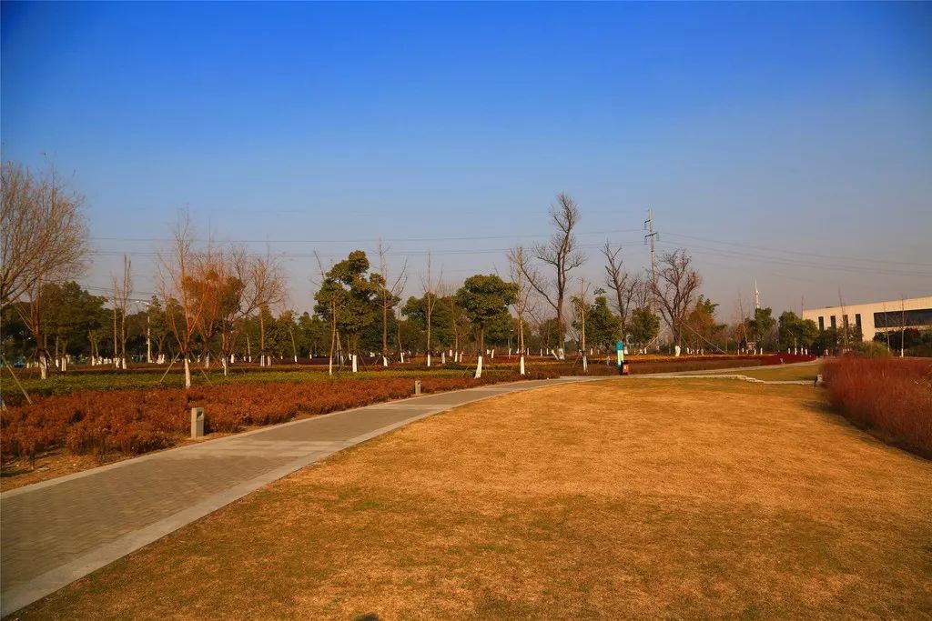 无锡最值得打卡的网红街,无锡梁溪区网红免费打卡地