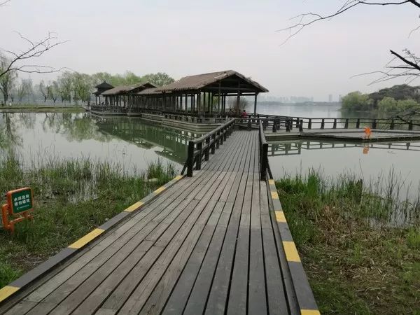 无锡最值得打卡的网红街,无锡梁溪区网红免费打卡地