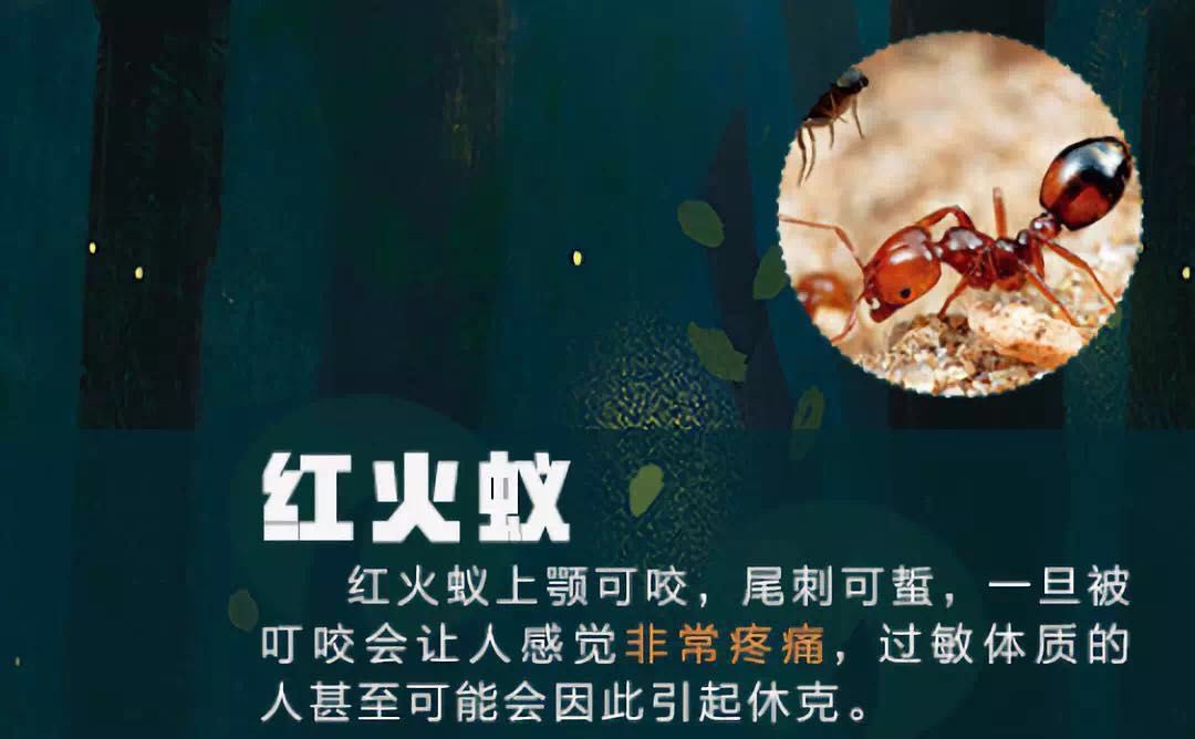 深圳一岁宝宝免费玩的地方,深圳1岁宝宝游玩的地方