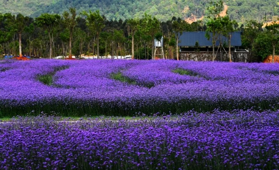 昆明潮玩攻略,昆明到弥勒自驾游详细路线