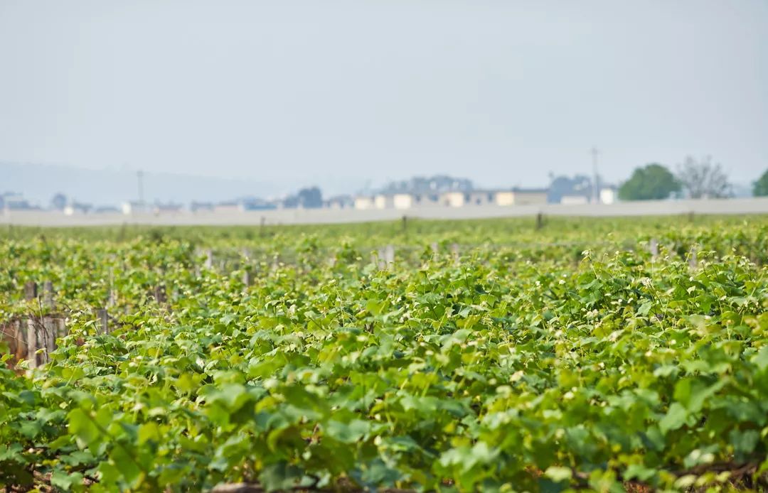 昆明潮玩攻略,昆明到弥勒自驾游详细路线